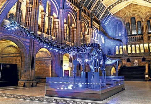 Londonas kviečia garsiausius muziejus aplankyti ... naktį