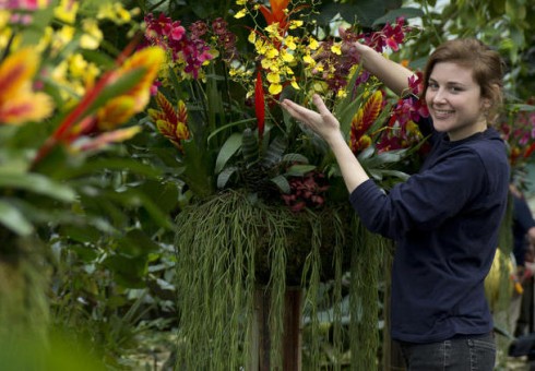 Orchidėjų paroda Londonui sugrąžins vasarą