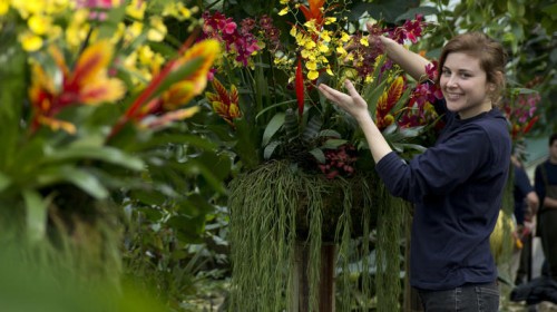 Į Londoną atkeliauja orchidėjų festivalis