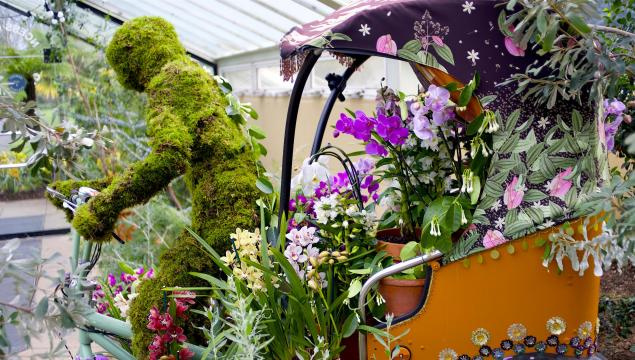 Orchidėjų festivalis Kew Gardens