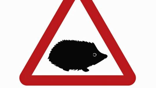 JK keliuose atsiras naujas ženklas, skirtas apsaugoti ir žmones, ir gyvūnus
