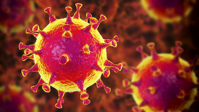 Šalyje užfiksuotas didžiausias mirčių nuo koronaviruso paros skaičius