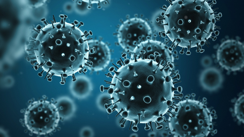 JK mokslininkų sukurta koronaviruso programėlė: virusas į šalį atkeliavo jau sausį