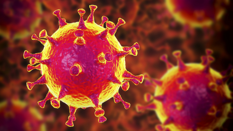 Mokslininkai: koronavirusas Europoje galėjo būti jau lapkritį