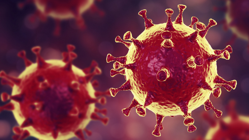 Mokslininkai: koronavirusas į JK atkeliavo „mažiausiai 1300 atskirų atvejų“