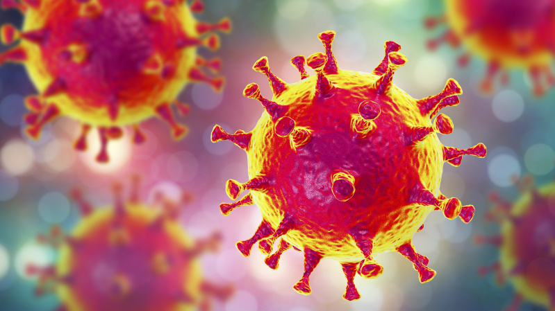 Į 24 dienas naujų koronaviruso atvejų nefiksavusią N. Zelandiją virusą vėl atvežė ... britės