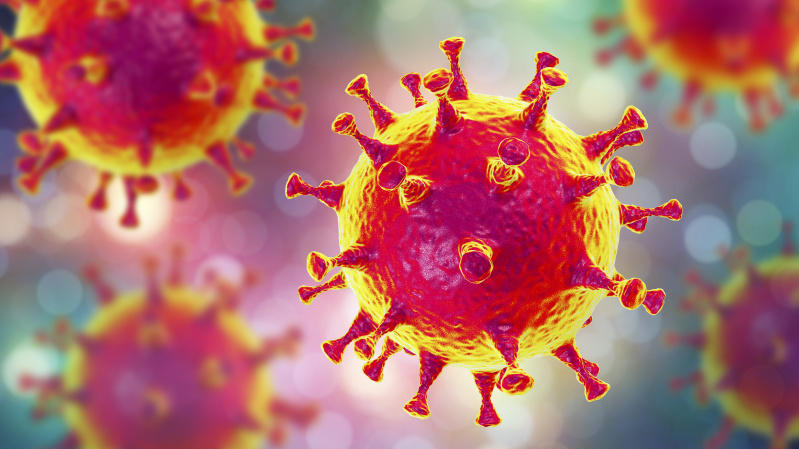 JK tyrimas: purškaluose nuo vabzdžių naudojama medžiaga gali sunaikinti koronavirusą