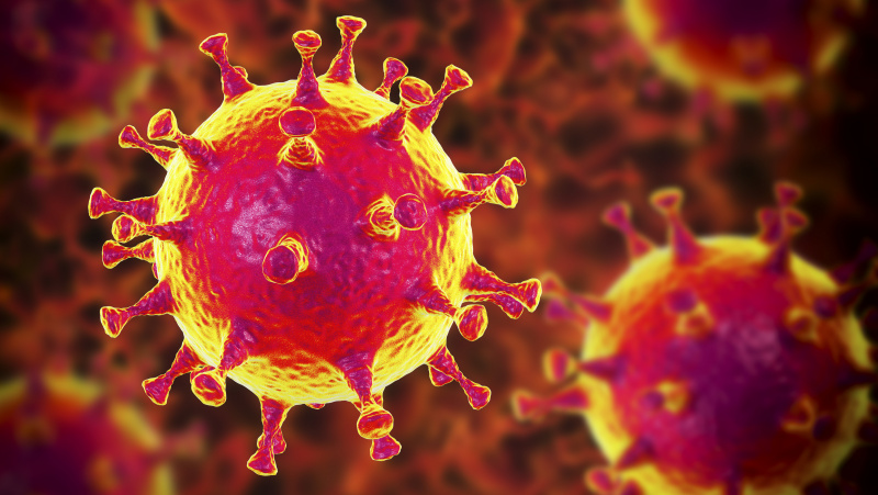 Apklausa JK: kas aštuntas gyventojas mano, kad koronaviruso pandemija – sąmokslas