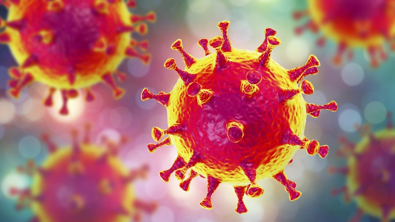 JK sumažėjo koronaviruso plitimo rodiklis