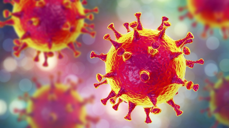 JK aptikta nauja koronaviruso atmaina, siejama su Nigerija