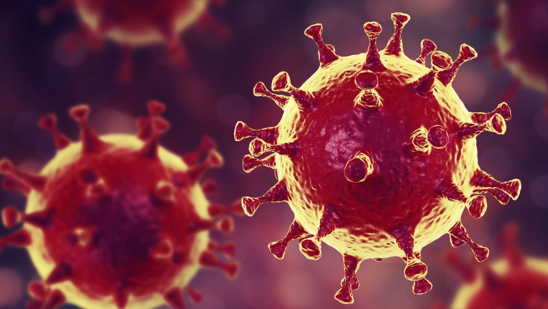 JK nustatyta dar viena koronaviruso atmaina, jau užfiksuota per šimtas atvejų