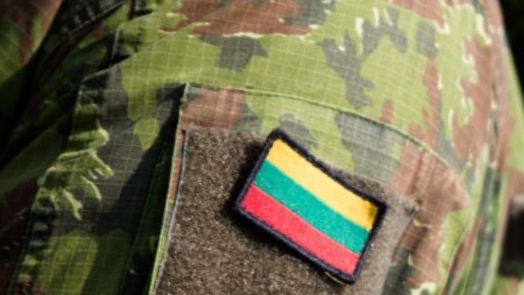 Siekiama, kad kuo daugiau užsienyje gyvenančių lietuvių atliktų karo prievolę