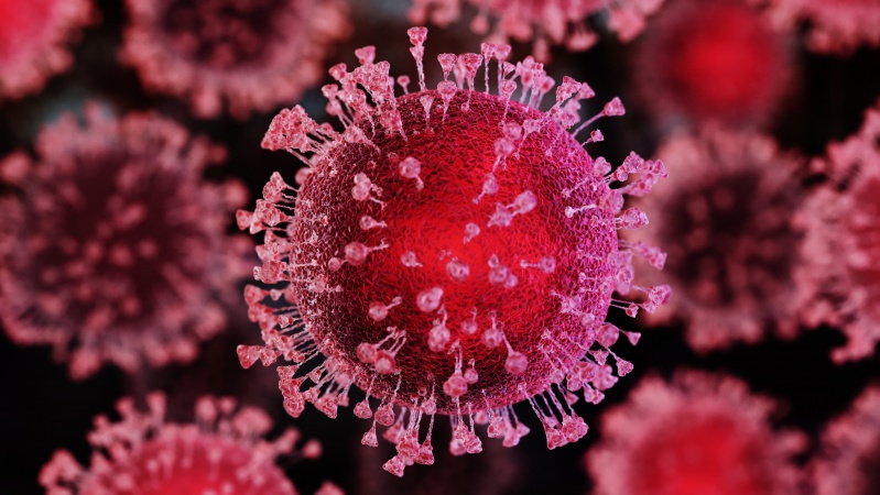 JK privalo greitai veikti dėl naujos koronaviruso atmainos – ministras