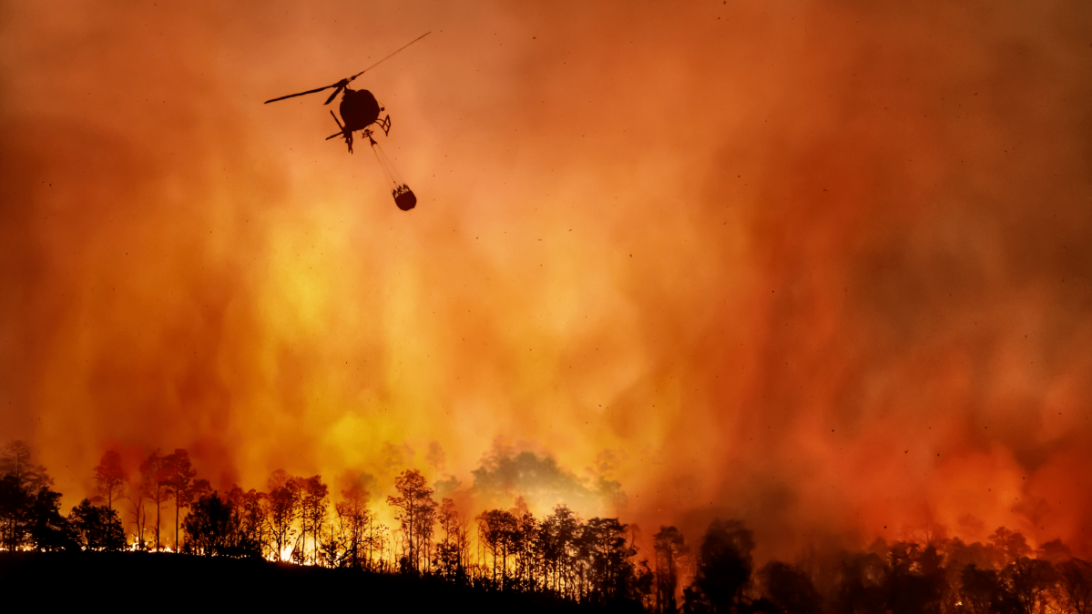 Ugniagesiai įspėjo JK miestų gyventojus ruoštis miškų gaisrams