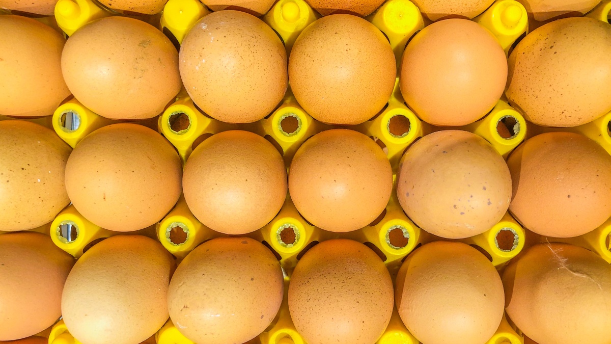 „Asda“ leis pirkėjams įsigyti tik dvi kiaušinių dėžutes