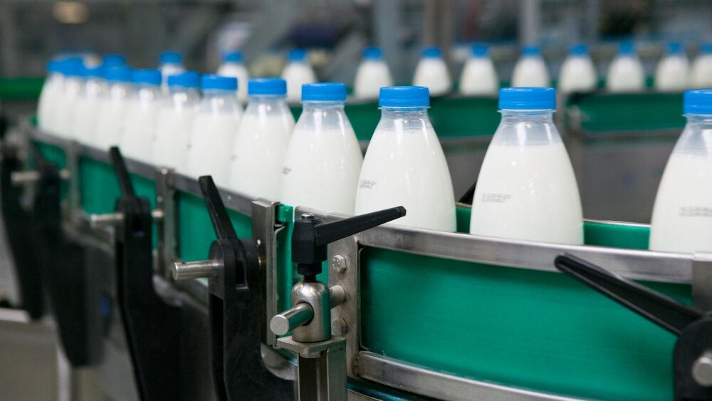 Didžiausias JK prekybos tinklas sumažino pieno kainas