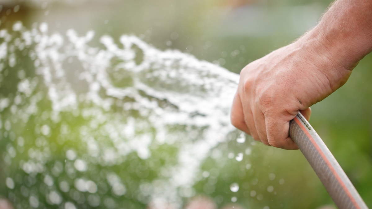 Dėl vandens trūkumo dviejose JK grafystėse įvedamas laistymo žarnos draudimas