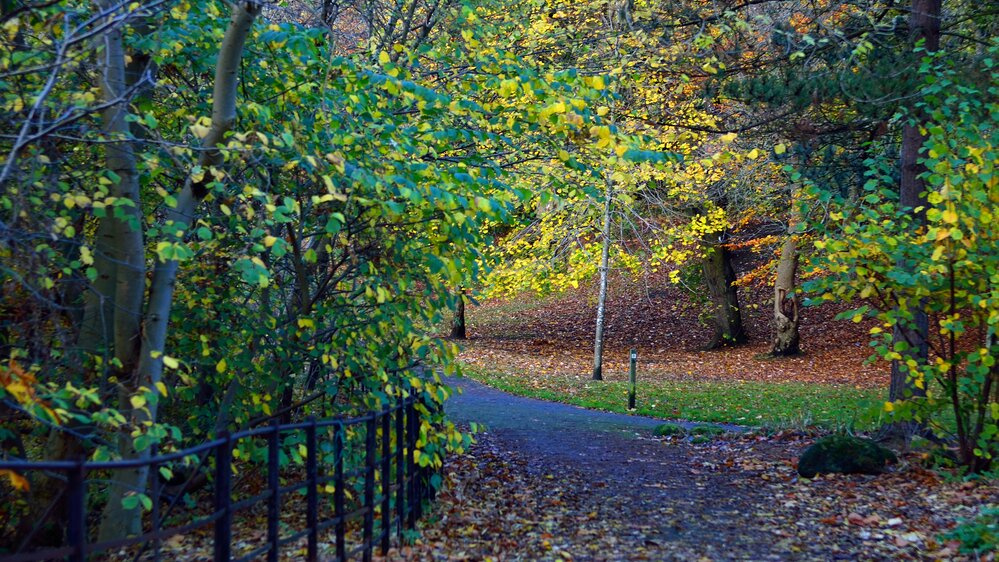 Rytų Londono parkuose rasti trys naujagimiai