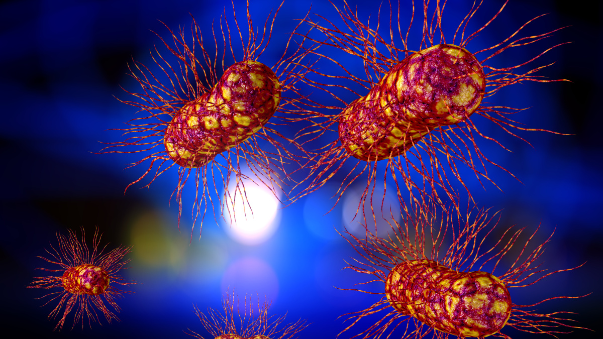 JK gyventojai perspėjami dėl E.coli bakterijos protrūkio