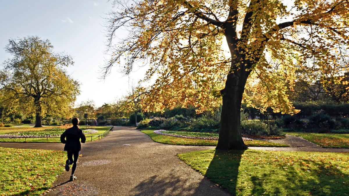 Šunų šeimininkai perspėjami – Londono parkuose rasta specialiai užnuodytos mėsos