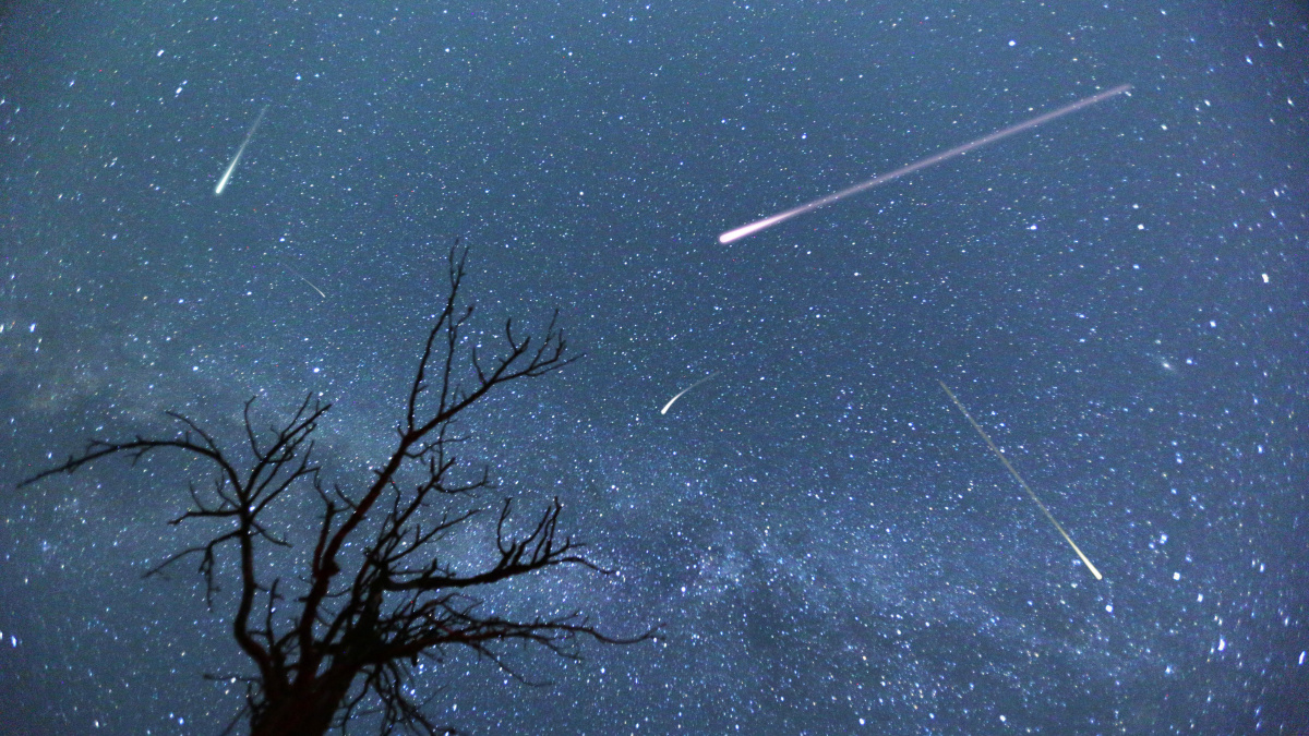 JK laukiama meteorų lietaus: kas valandą kris iki 30 žvaigždžių