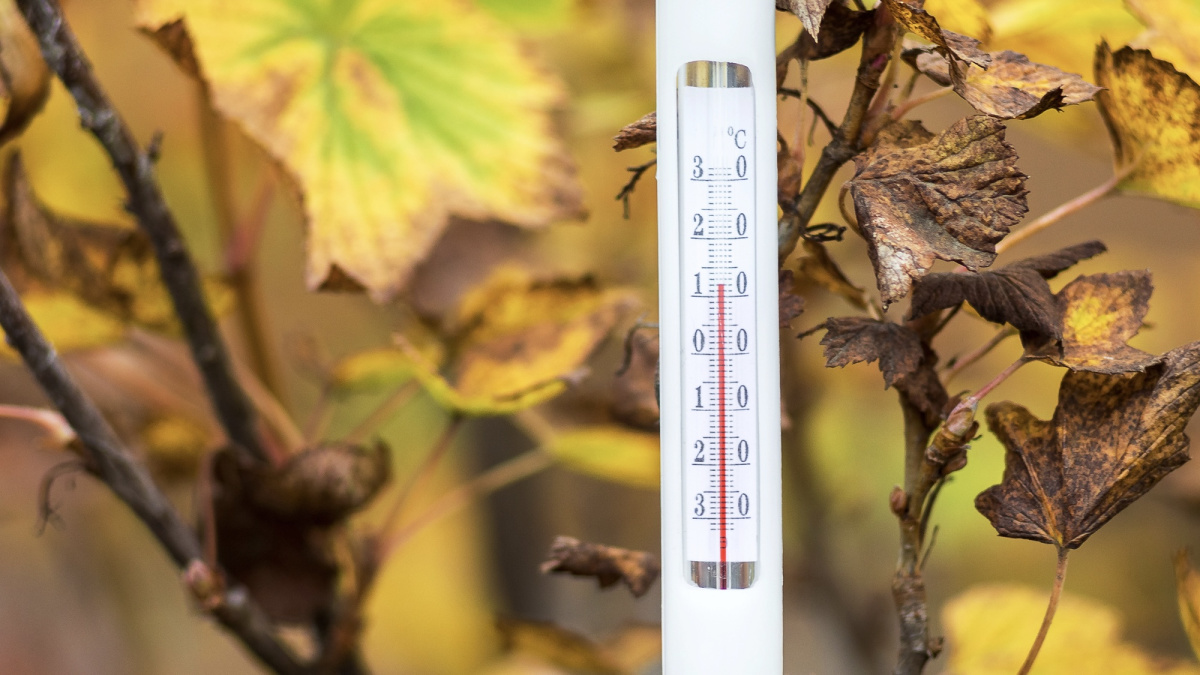 JK meteorologijos tarnyba atskleidė, ar rugsėjį sulauksime šiltesnių orų