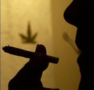 Olandai gali uždrausti užsieniečiams lankytis marihuanos kavinėse