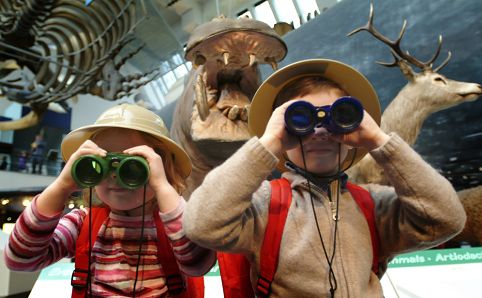Naktis su dinozaurais Londono gamtos istorijos muziejuje